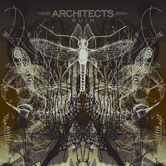 Architects - Ruin Album Artwork 