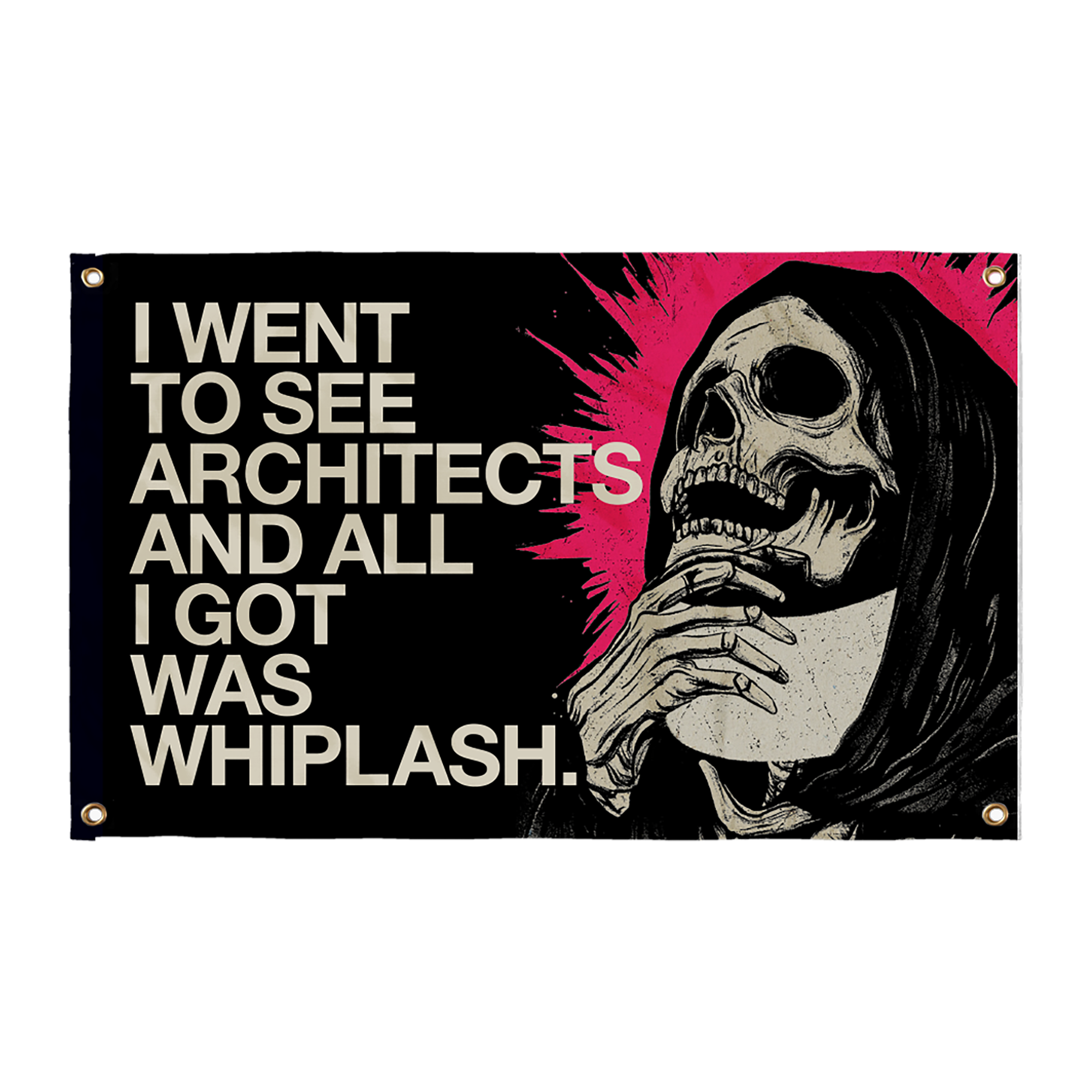 Black Architects flag with a skull design, and text reading 'I went to see Architects and all I got was Whiplash'